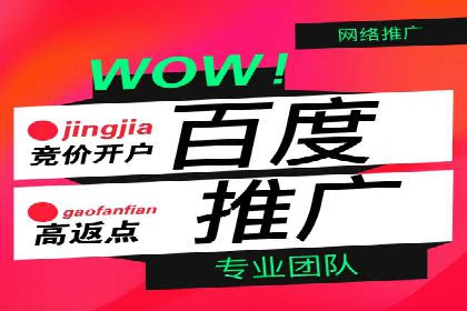 短视频平台上的信息流广告投放效果分析
